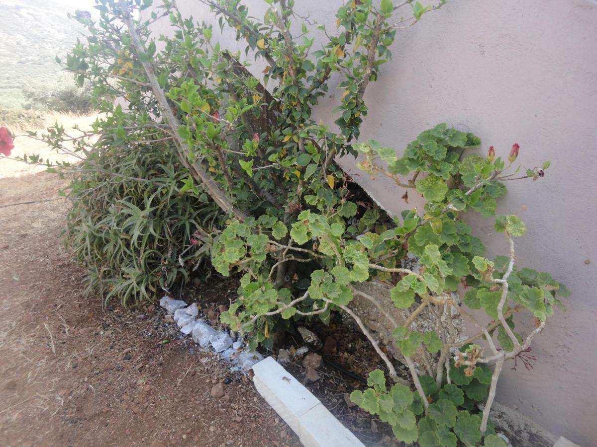 Papadiokampos Maissonete Roussa Limni Exterior photo